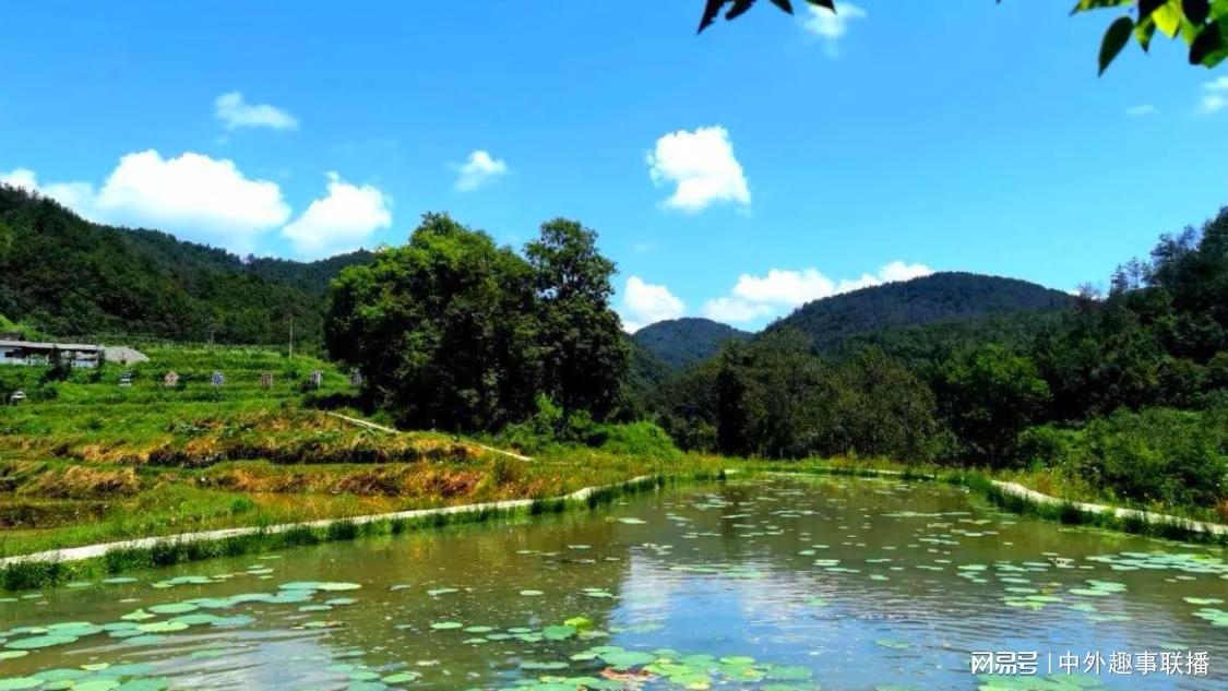 小泡芙女大十八变